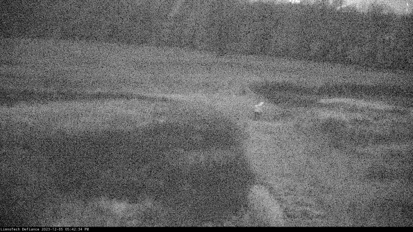 Cell 1 to 2_23-12-05_17-42-34-79