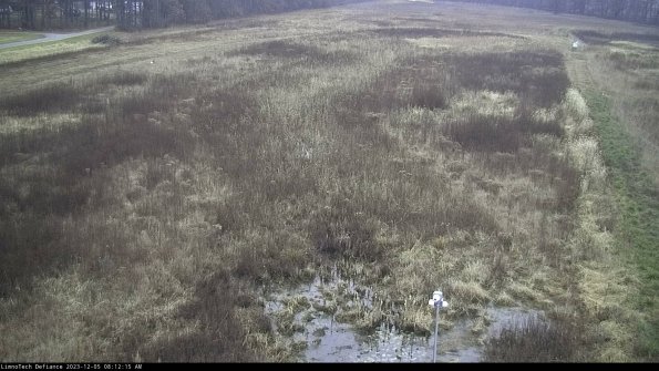 Cell 1_23-12-05_08-12-15-79