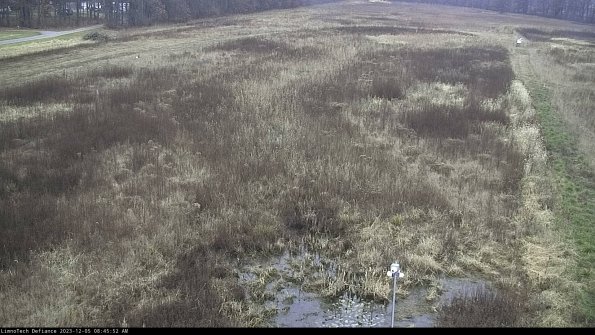 Cell 1_23-12-05_08-45-52-81