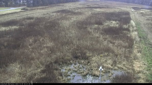 Cell 1_23-12-05_14-21-20-76