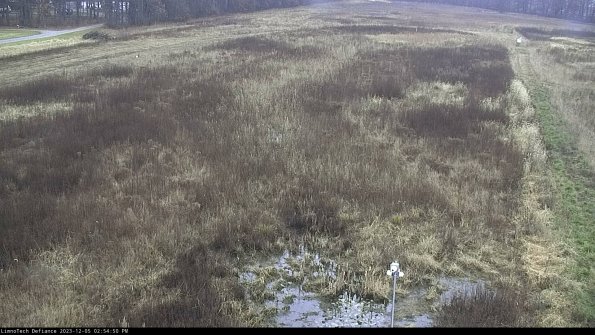 Cell 1_23-12-05_14-54-50-77