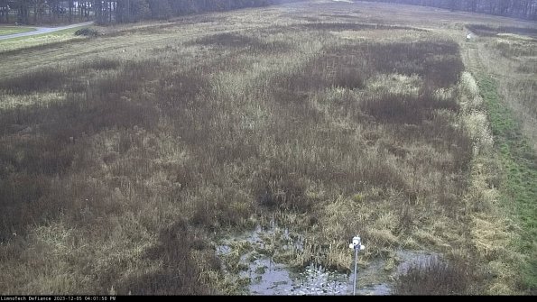 Cell 1_23-12-05_16-01-50-80