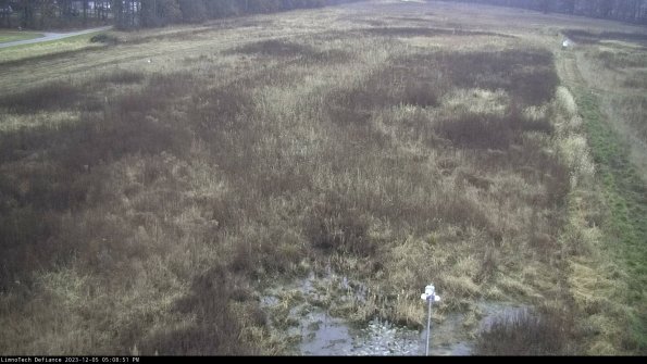 Cell 1_23-12-05_17-08-51-77