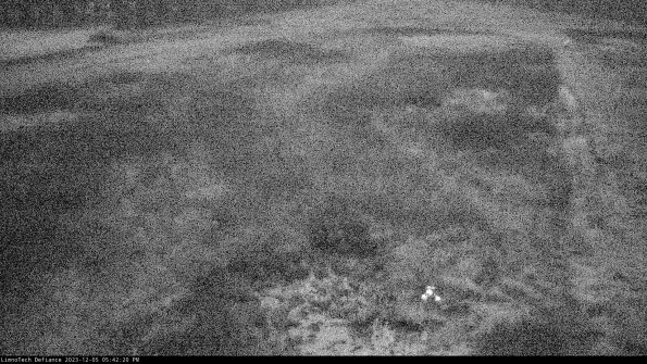 Cell 1_23-12-05_17-42-20-78