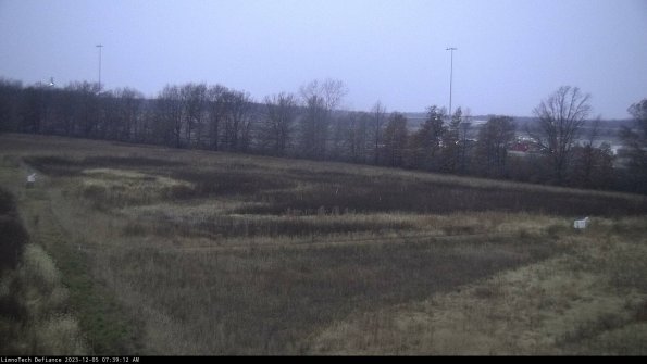 Cell 2_23-12-05_07-39-12-83