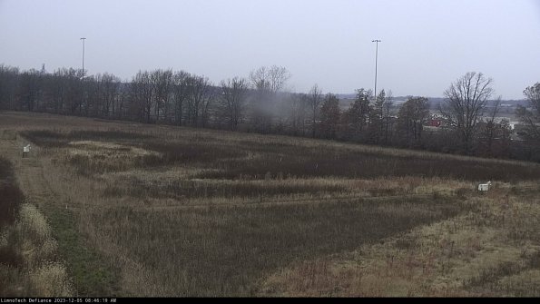 Cell 2_23-12-05_08-46-19-87