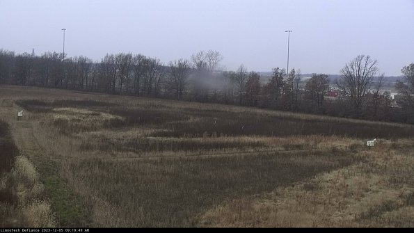 Cell 2_23-12-05_09-19-49-82