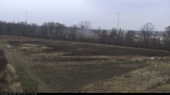 Cell 2_23-12-05_11-17-21-79