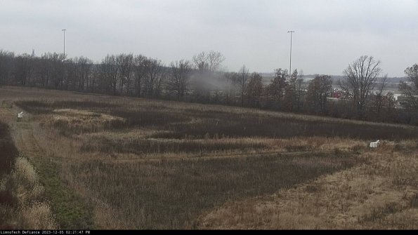 Cell 2_23-12-05_14-21-47-82