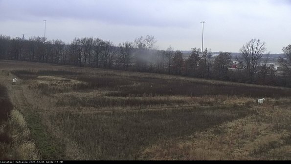 Cell 2_23-12-05_16-02-17-86