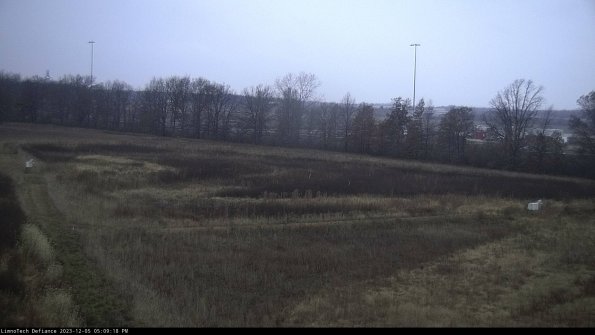 Cell 2_23-12-05_17-09-18-83