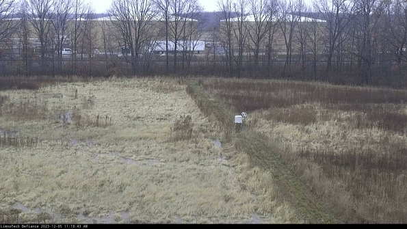 Cell 3 to 4_23-12-05_11-18-43-80