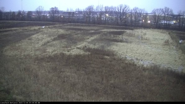 Cell 3_23-12-05_07-39-40-76