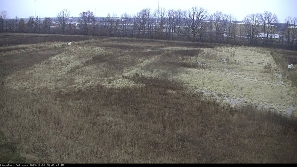 Cell 3_23-12-05_08-46-47-80