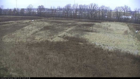 Cell 3_23-12-05_10-27-15-77