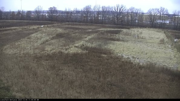 Cell 3_23-12-05_11-00-44-99