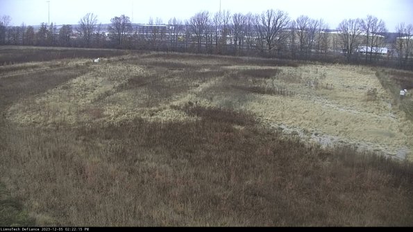 Cell 3_23-12-05_14-22-15-78