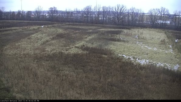 Cell 3_23-12-05_16-02-45-76