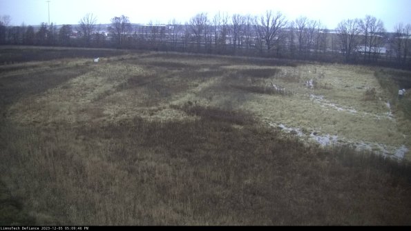 Cell 3_23-12-05_17-09-46-79