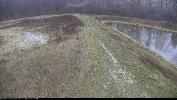 Cell 4 to Basin_23-12-05_13-49-40-82