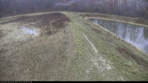 Cell 4 to Basin_23-12-05_14-23-13-80