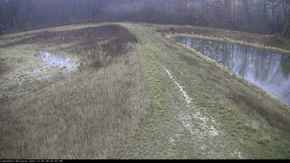 Cell 4 to Basin_23-12-05_16-03-43-82