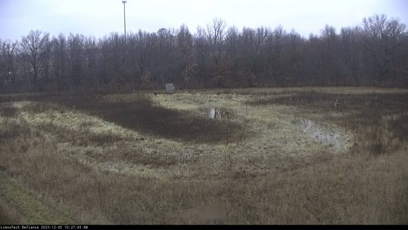 Cell 4_23-12-05_10-27-43-77