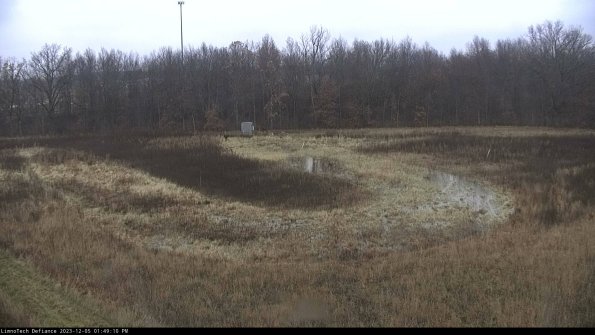 Cell 4_23-12-05_13-49-10-79