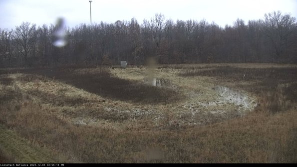 Cell 4_23-12-05_14-56-13-79