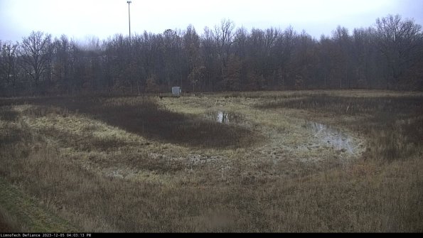 Cell 4_23-12-05_16-03-13-79