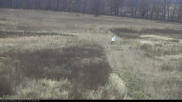 Cell 1 to 2_23-12-16_14-56-28-62