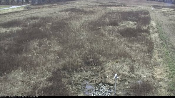 Cell 1_23-12-16_14-56-14-61