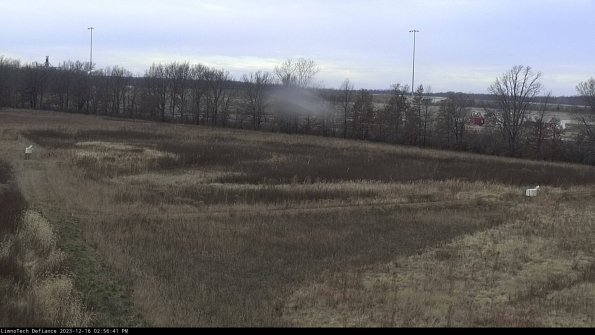 Cell 2_23-12-16_14-56-41-67