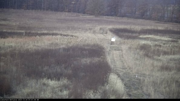 Cell 1 to 2_23-12-20_07-41-38-61