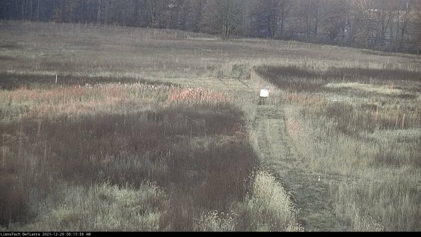 Cell 1 to 2_23-12-20_08-15-06-62