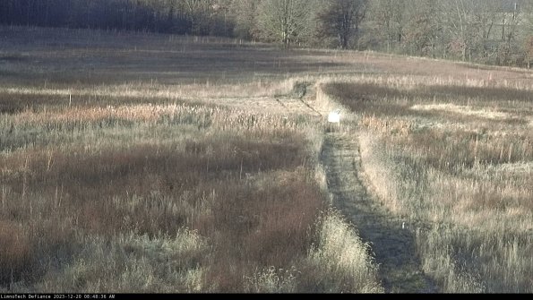 Cell 1 to 2_23-12-20_08-48-36-63