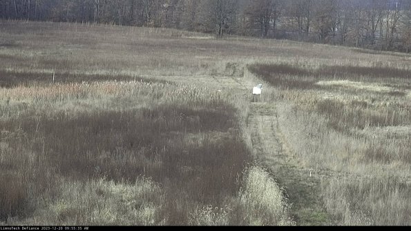 Cell 1 to 2_23-12-20_09-55-35-63