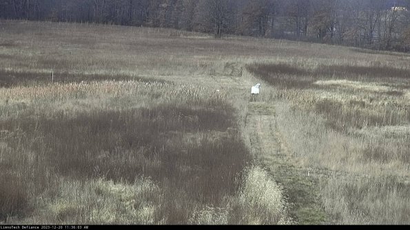 Cell 1 to 2_23-12-20_11-36-03-61