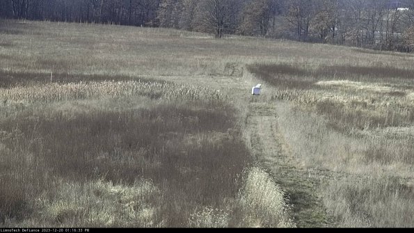 Cell 1 to 2_23-12-20_13-16-33-62