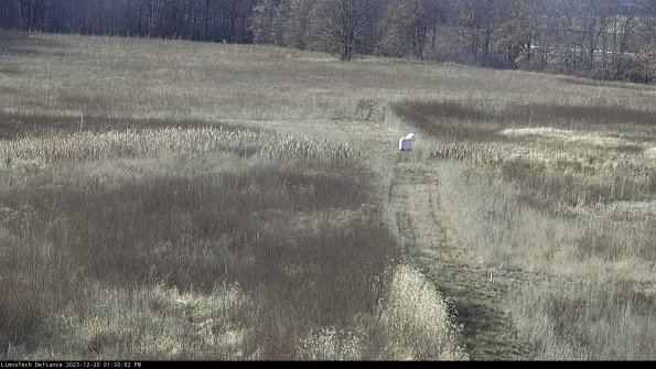 Cell 1 to 2_23-12-20_13-50-02-60