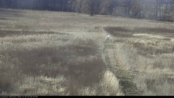 Cell 1 to 2_23-12-20_14-56-59-61