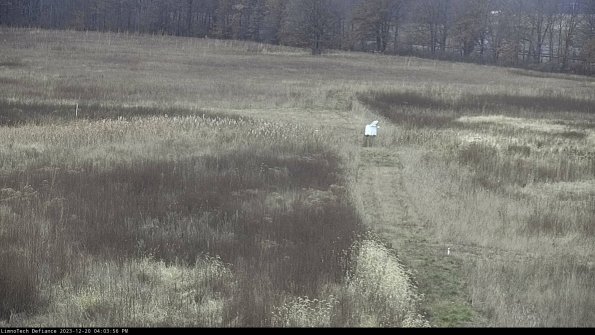 Cell 1 to 2_23-12-20_16-03-56-61