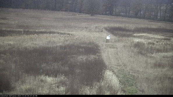 Cell 1 to 2_23-12-20_16-37-26-62