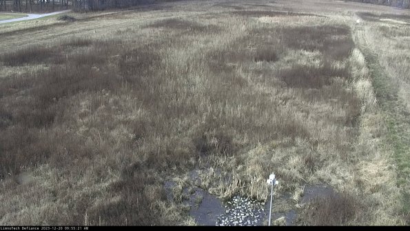 Cell 1_23-12-20_09-55-21-61