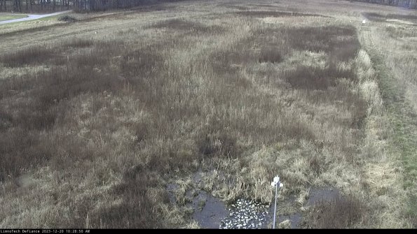 Cell 1_23-12-20_10-28-50-59