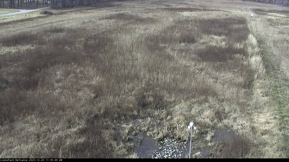 Cell 1_23-12-20_11-35-49-63