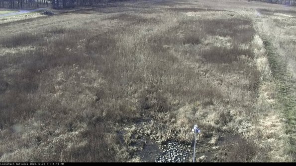 Cell 1_23-12-20_13-16-19-61