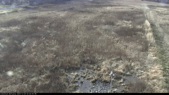 Cell 1_23-12-20_14-56-45-59