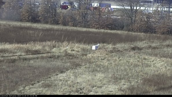 Cell 2 to 3_23-12-20_13-16-59-81