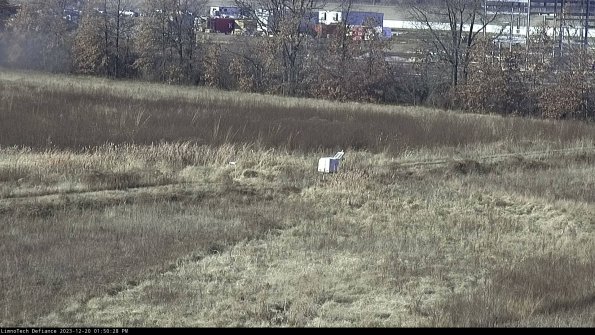 Cell 2 to 3_23-12-20_13-50-28-66